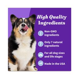 Plant Based Biscuit Dog Treats, Oats N’ Blueberry