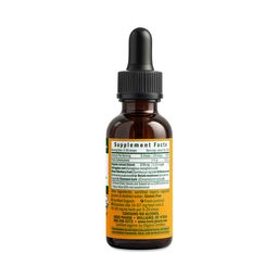 Kids Immune Fortifier, Alcohol-Free