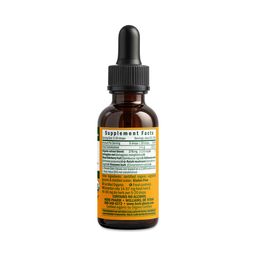 Kids Immune Fortifier, Alcohol-Free