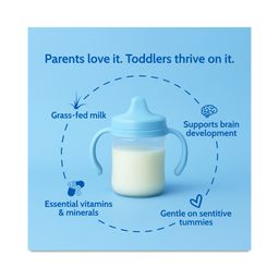 Cow Milk Toddler Drink