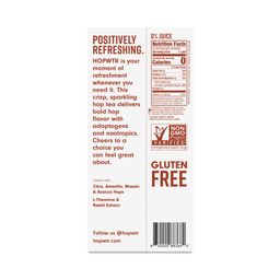 Non-Alcoholic Sparkling Hop Tea, Variety Pack