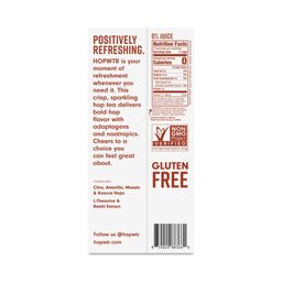 Non-Alcoholic Sparkling Hop Tea, Variety Pack
