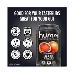 Zero Sugar Probiotic Kombucha, Blood Orange