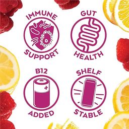 Zero Sugar Probiotic Kombucha, Raspberry Lemonade