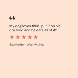Bad Moooon on the Rise Wet Dog Food Variety Pack