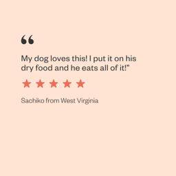 Bad Moooon on the Rise Wet Dog Food Variety Pack