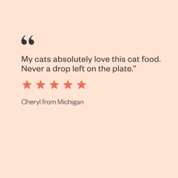 Canned Cat Food - Purrky Turkey Pâté