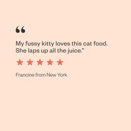 Canned Cat Food - Salmon Chanted Evening Stew