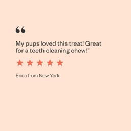 Free Ranger Braided Beef Bully Stix Dog Chew Treats