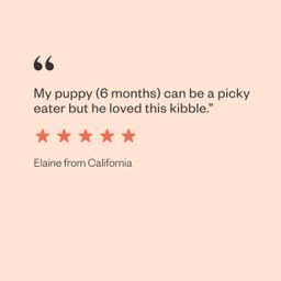 Naked Essentials Chicken & Duck Dog Kibble