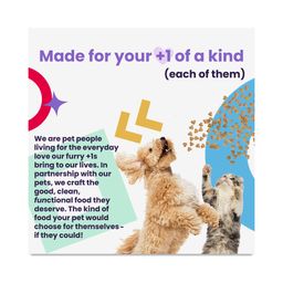 Naked Essentials Salmon & Trout Cat Kibble