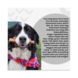 No Stink! Free Ranger Bully Stix Dog Chews, Beef