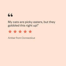 XOXO's Grain Free Canned Cat Food Variety Pack, Salmon & Whitefish Pate