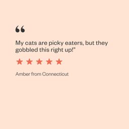 XOXO's Grain Free Canned Cat Food Variety Pack, Salmon & Whitefish Pate