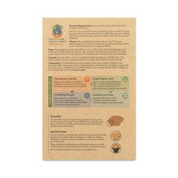 Compostable Coffee Filters, #4 Cone