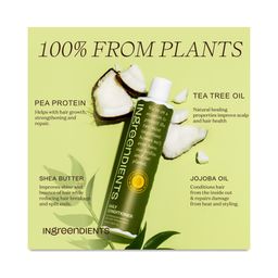 Daily Conditioner