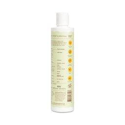 Daily Shampoo
