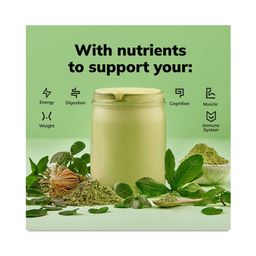 All-In-One Nutrition Shake, Matcha