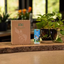 Organic Plant-Based Milk, Original