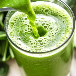Organic Pure Moringa Powder