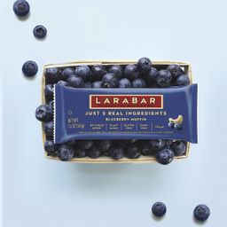 Blueberry Muffin Bars