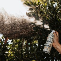 Scram! Area Treatment to Repel Flies