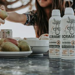 Scram! Area Treatment to Repel Flies