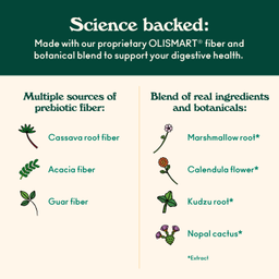 Prebiotic Soda, Lemon Lime