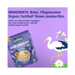 Regenerative Organic 90-Second Brown Jasmine Rice