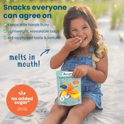 Organic Smoothie Melts, Mango Carrots