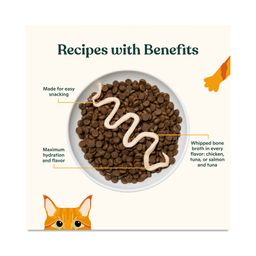 Lickable Mousse Cat Treats with Bone Broth, Variety Pack
