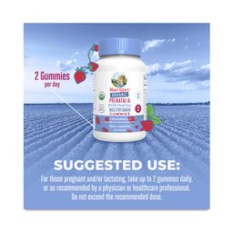 Prenatal & Postnatal Multivitamin Gummies, Strawberry