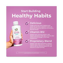 Sea Moss + Immune & Energy Liposomal, Citrus Berry