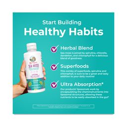 Sea Moss with Spirulina & Chlorella Liposomal, Limeade