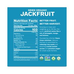 Organic Dried Jackfruit
