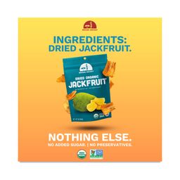 Organic Dried Jackfruit