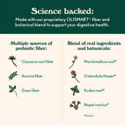 Prebiotic Soda Minis, Ginger Ale