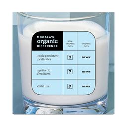 Simple Oat Milk
