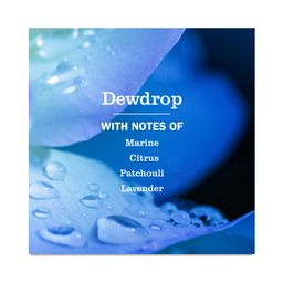 Hand Soap, Dewdrop