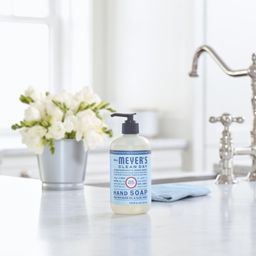 Hand Soap, Rain Water