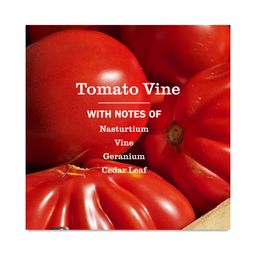 Hand Soap, Tomato Vine