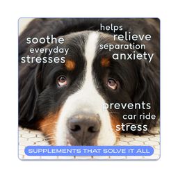 Calm Chews, Anxiety & Calming Supplement for Dogs