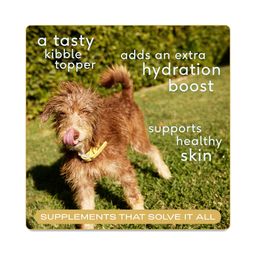 Grass-Fed Beef Bone Broth Powder for Dogs & Cats