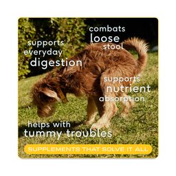 Organic Pumpkin Powder for Dogs, Fiber Supplement & Diarrhea Relief