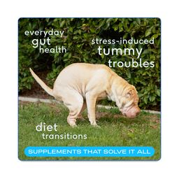 Probiotics with Prebiotics for Dogs, Digestive Support & Gut Health