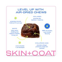 Skin & Coat Chews, Dry Skin Supplements for Dogs