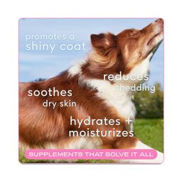 Skin & Coat Chews, Dry Skin Supplements for Dogs