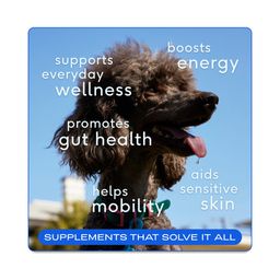 The Daily Powder 11-in-1 Multivitamin Supplement for Dogs