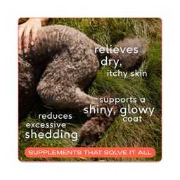 Wild Alaskan Omega-3 Salmon Oil, Skin & Coat Supplement for Dogs & Cats