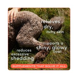 Wild Alaskan Omega-3 Salmon Oil, Skin & Coat Supplement for Dogs & Cats, Value Size